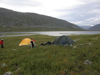 1- 